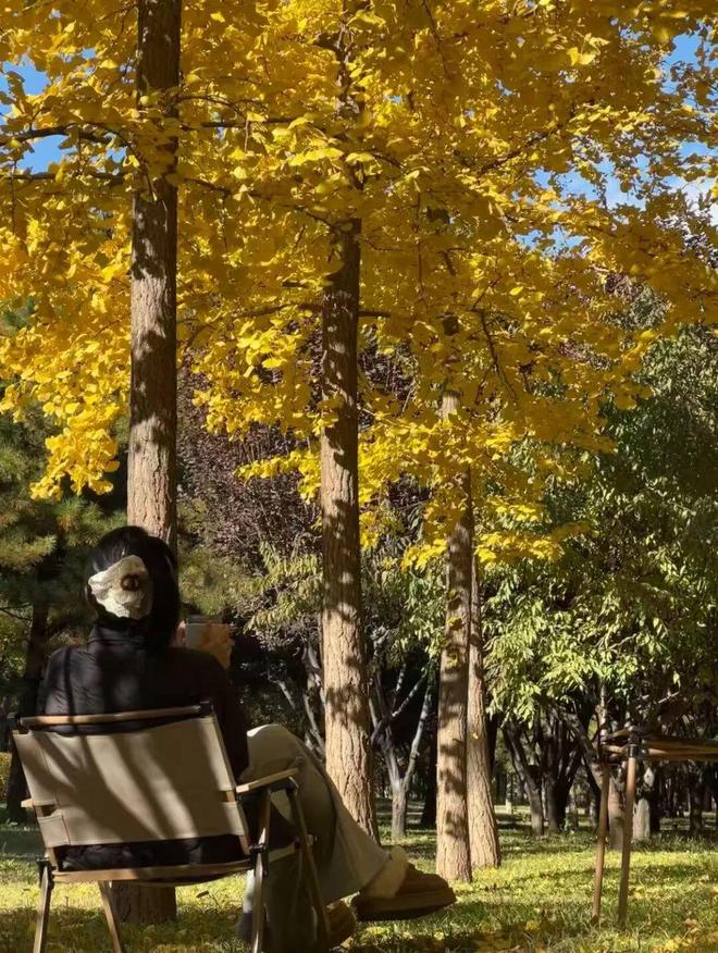 我们把房车改成移动的家开元棋牌不买房不租房(图4) 我们把房车改成移动的家开元棋牌不买房不租房(图4)