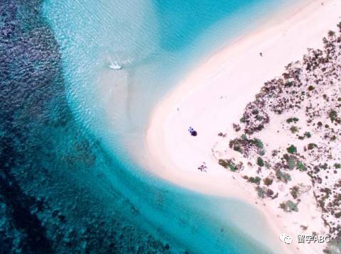 0大海滩去澳洲的同学千万不要错过哟！开元棋牌app澳大利亚美不胜收的1(图1)