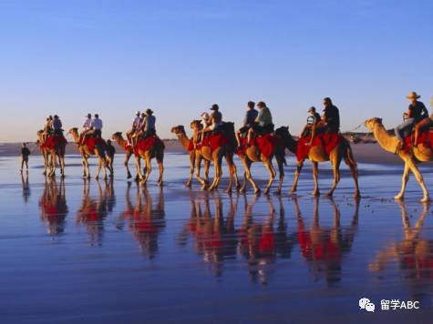 0大海滩去澳洲的同学千万不要错过哟！开元棋牌app澳大利亚美不胜收的1(图11)