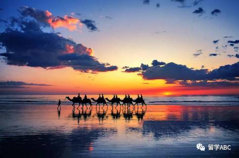 0大海滩去澳洲的同学千万不要错过哟！开元棋牌app澳大利亚美不胜收的1(图15)