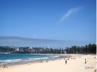 0大海滩去澳洲的同学千万不要错过哟！开元棋牌app澳大利亚美不胜收的1(图19)